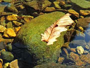 醫(yī)療保險(xiǎn)管理辦法(達(dá)州市職工基本醫(yī)療保險(xiǎn)管理辦法)